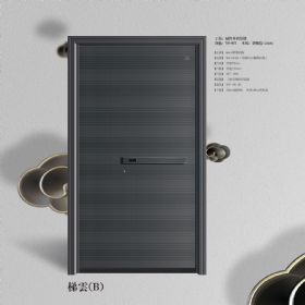 亞正藝術(shù)門云梯(B)